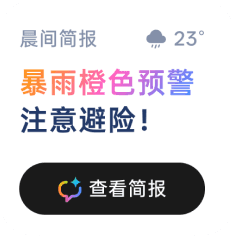 小布建议卡 11