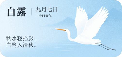 小布建议卡 10