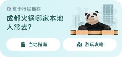 随身翻译官建议卡