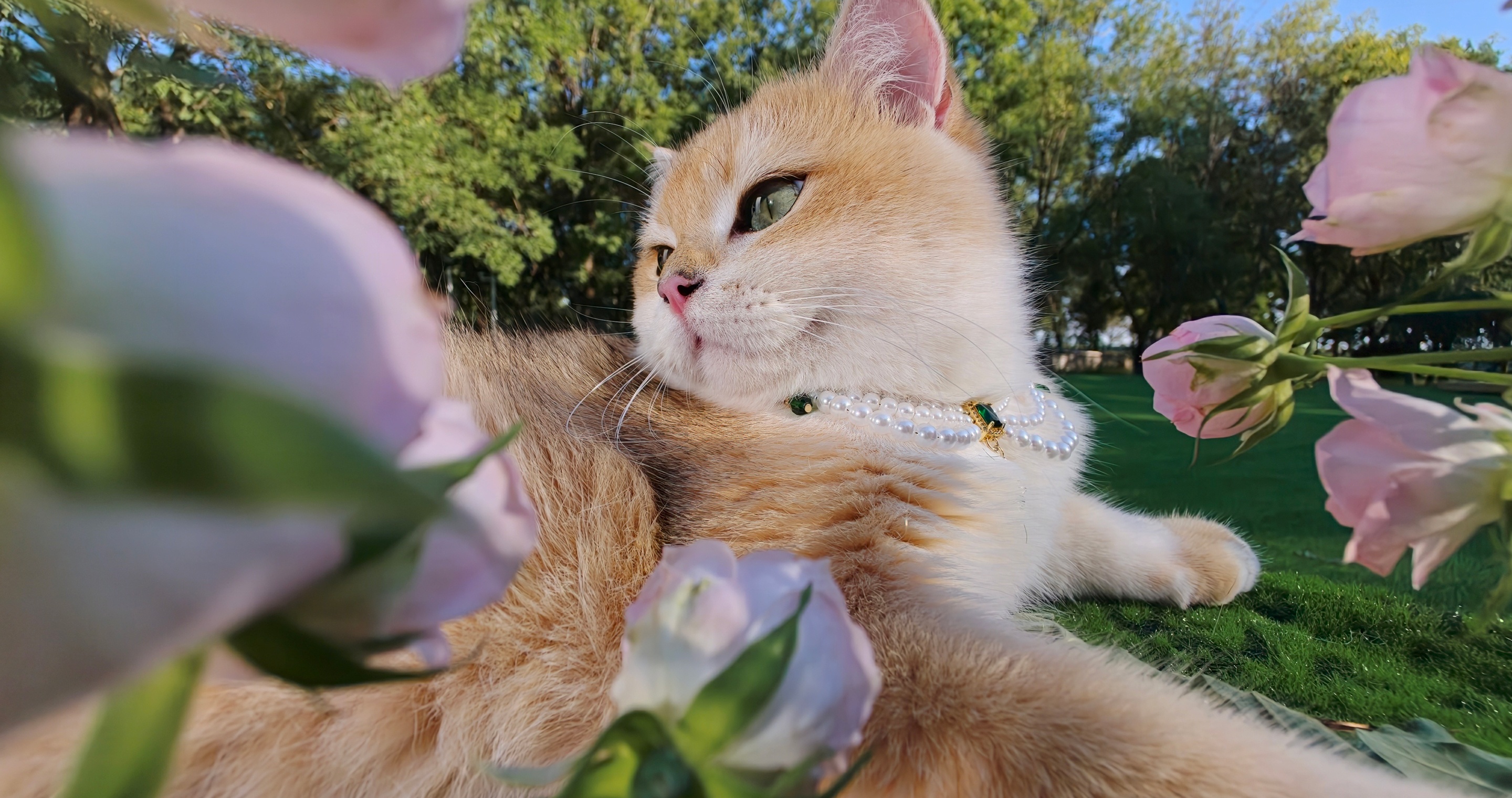 Detailed photo of a cat with a pearl necklace and green eyes, showing the macro photography of the Find X10 Pro Max