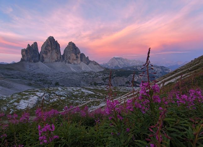 Ultra-wide mountain landscape at sunset with pink wildflowers, captured by 50MP Ultra-Wide Camera