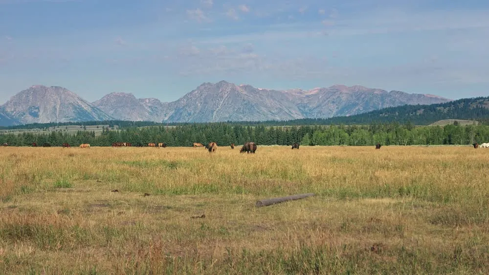 Mountain landscape showcasing the effect of 8K Log Cinematic Video