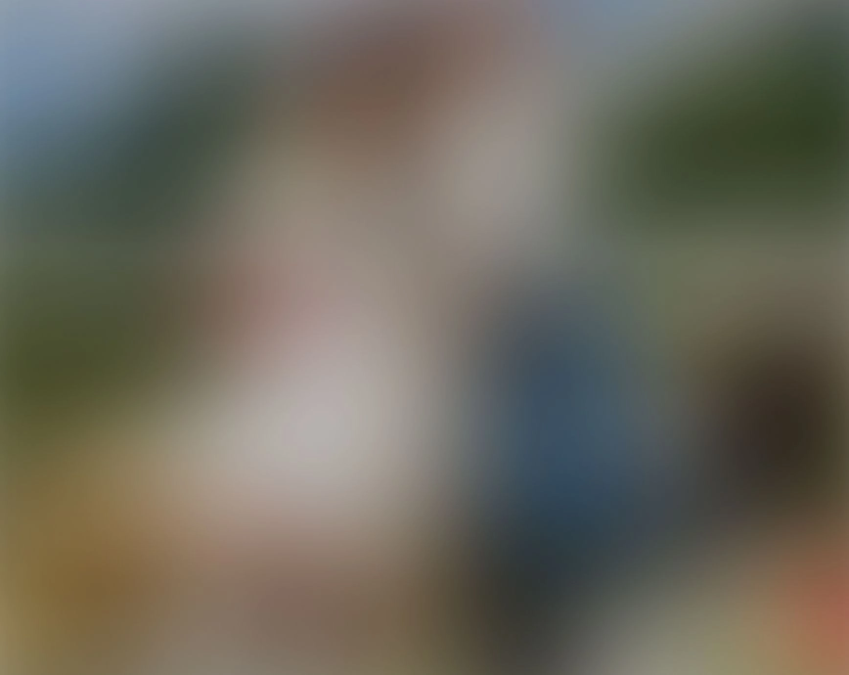 29 Двустранно видео