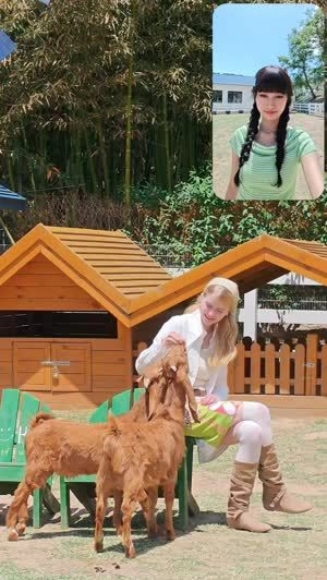 Demonstrating the Dual-View feature, simultaneously capturing a woman feeding a goat and the smiling person recording her