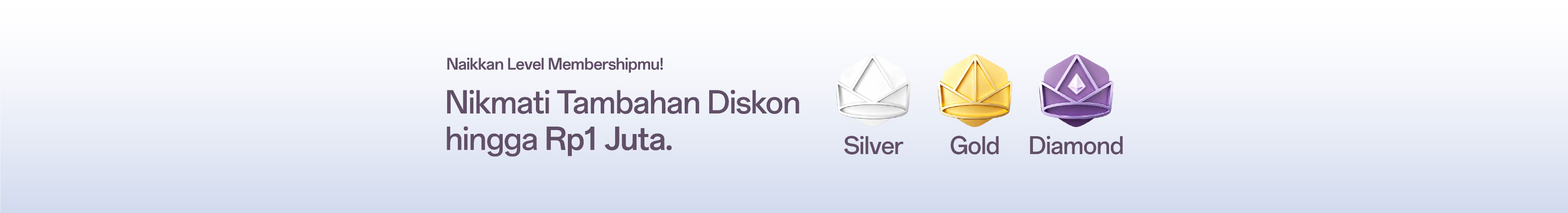 Mini Banner
