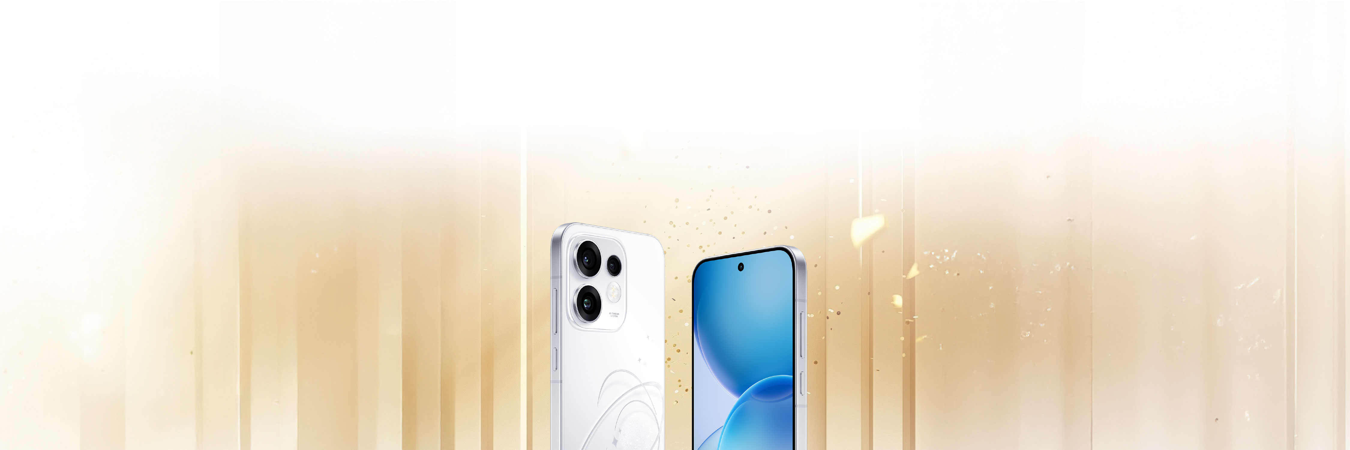 Secondary Banner Picture