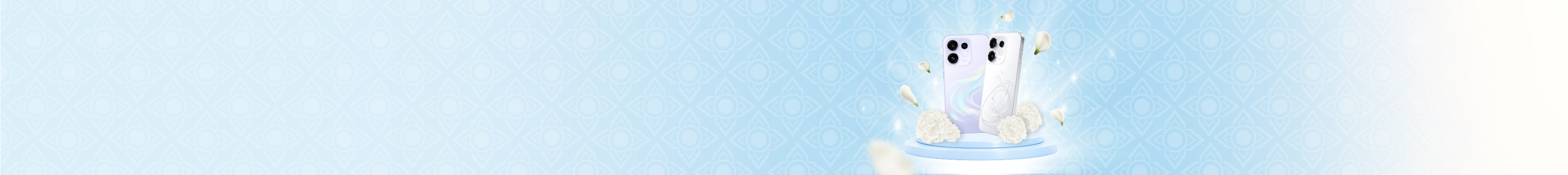 Mini Banner